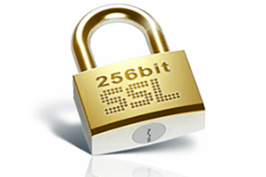 256 Bit SSL güvenlik sertifikası ile ödemelerinizi güvenle ve emniyetle yapın